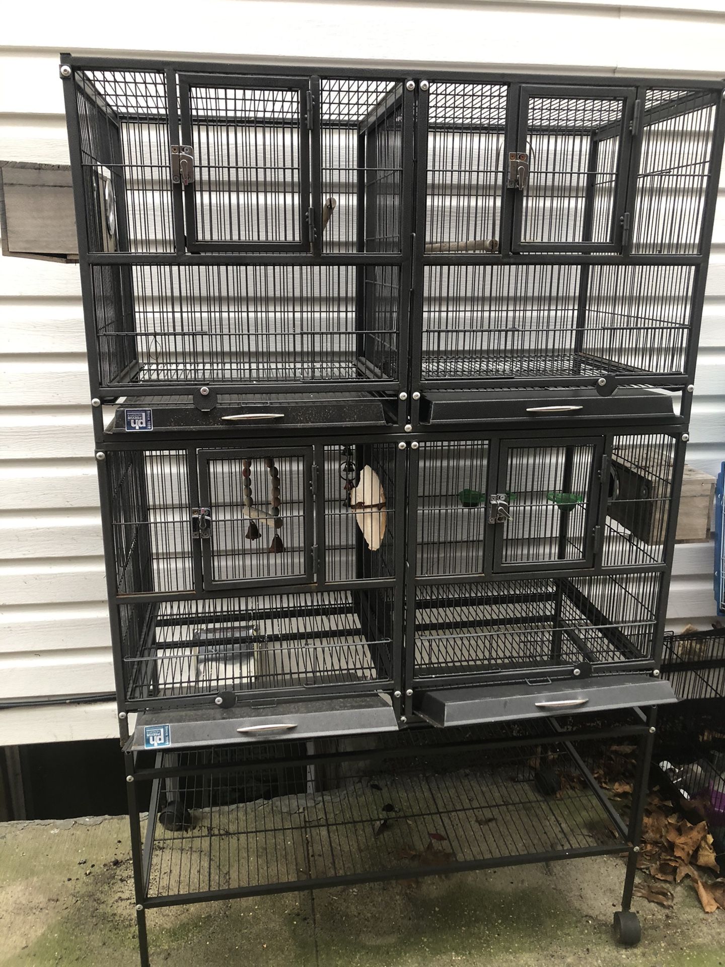 Quad Bird Cage