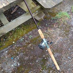 Fenwick Woodstream Steelhead/Salmon Rod And Reel