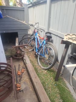 Blue Mountain Bike