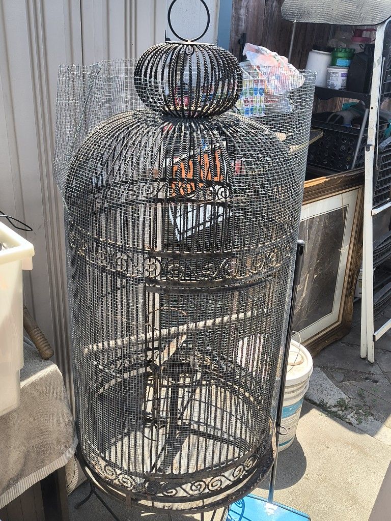 Bird Cage