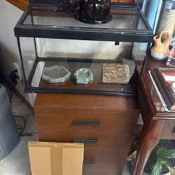 Reptile Tank 