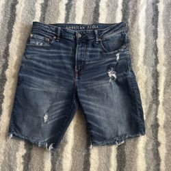 Mens American Eagle Shorts