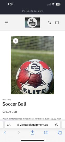 2 Used Soccer Balls 