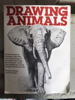 Drawing animals book