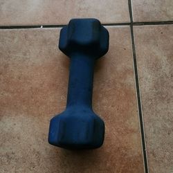 DUMBBEL SINGLE 10 Lb