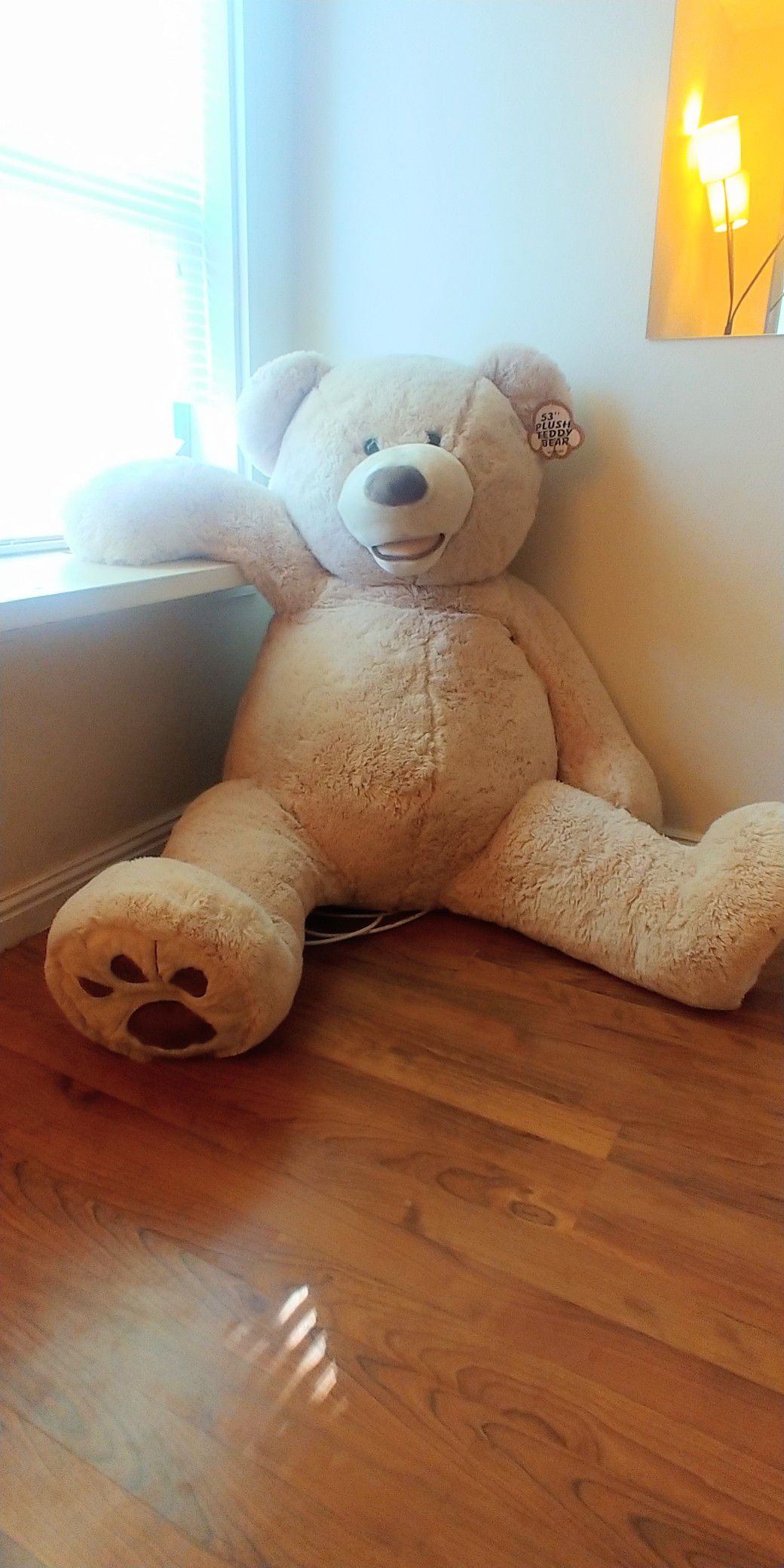 HUGE 53 inch TEDDY BEAR, brand new