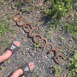 Horse Shoe WELCOME sign
