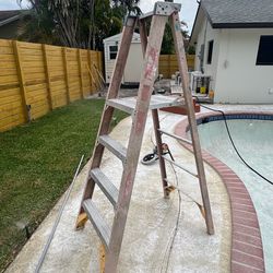 6ft Werner ladder W platform step