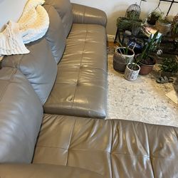 Brown Letter Couch