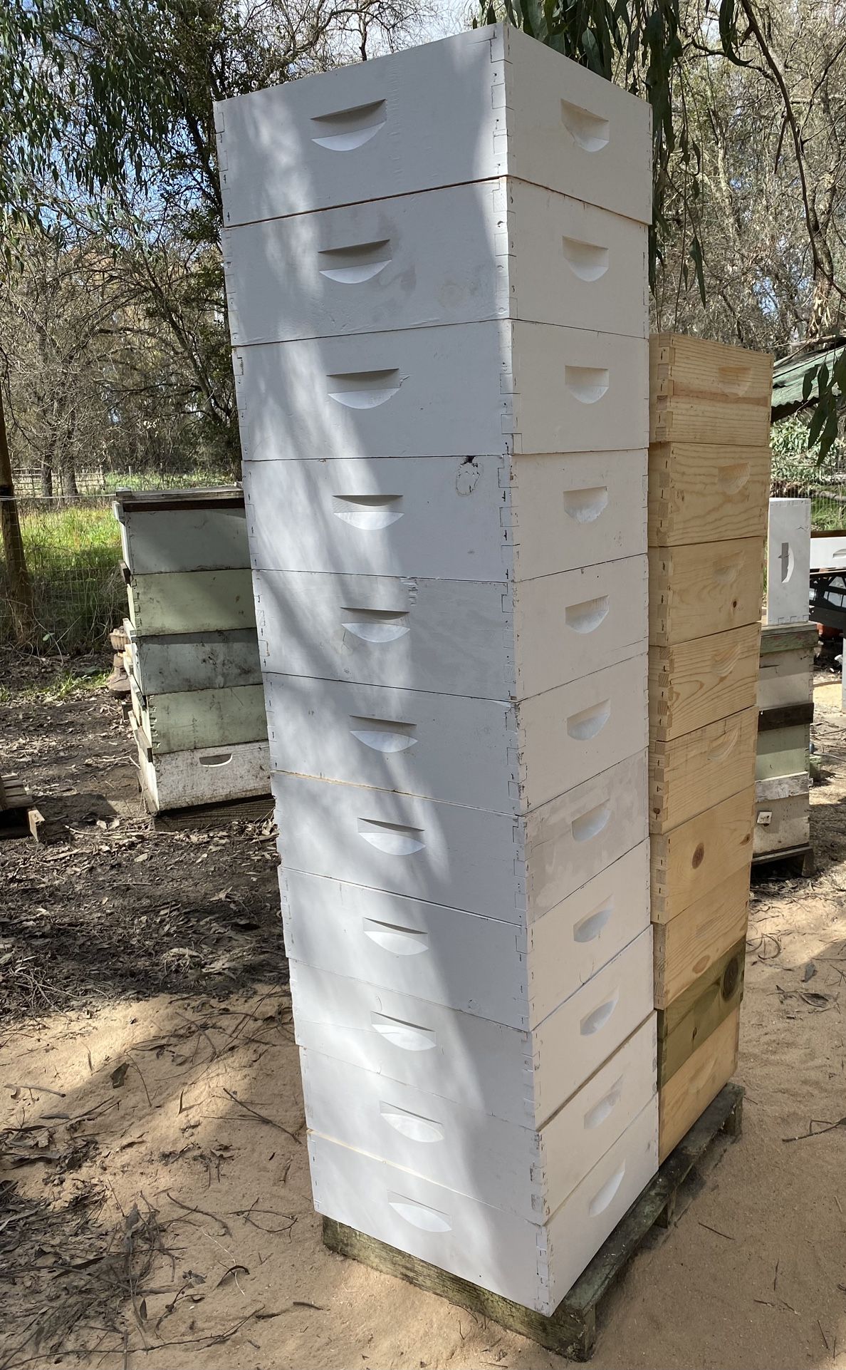 Bee Boxes