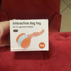 Interactive Dog Toy