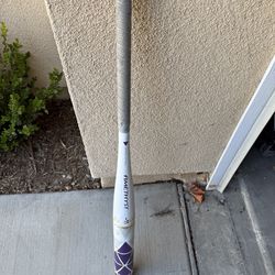 Softball Bat