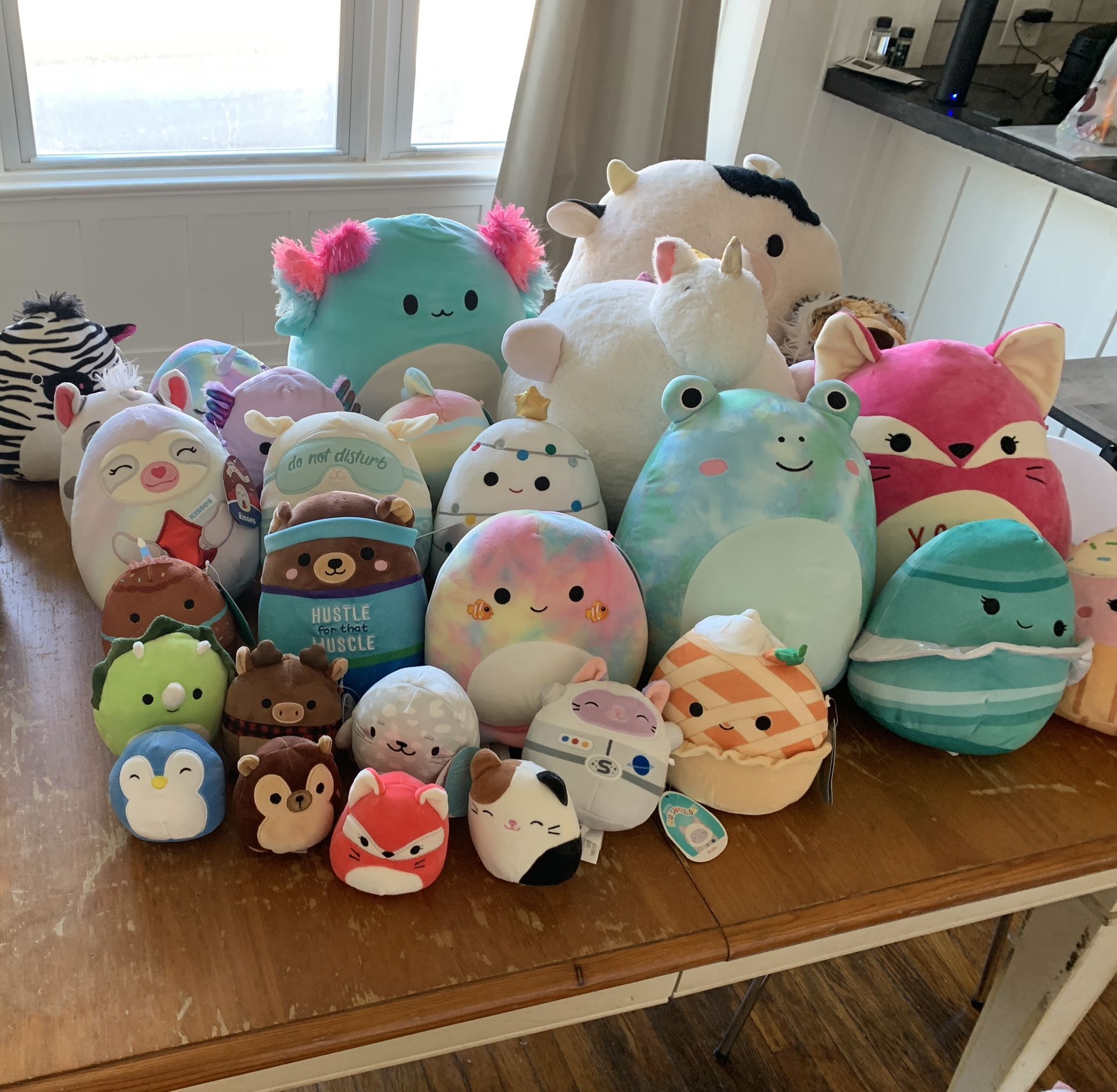 SQUISHMALLOW GIANT LOT! ALL ARE NEW!