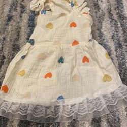 Dog Dress