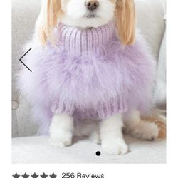 Christian Cowan Maxbone Jumper Dog Size XL Brand New (Price Is Firm)