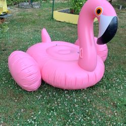 Swimming Pool Floating Bird 