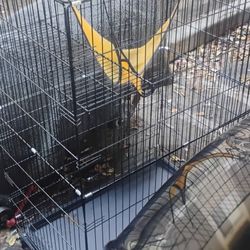 Medium Size Animal Cage