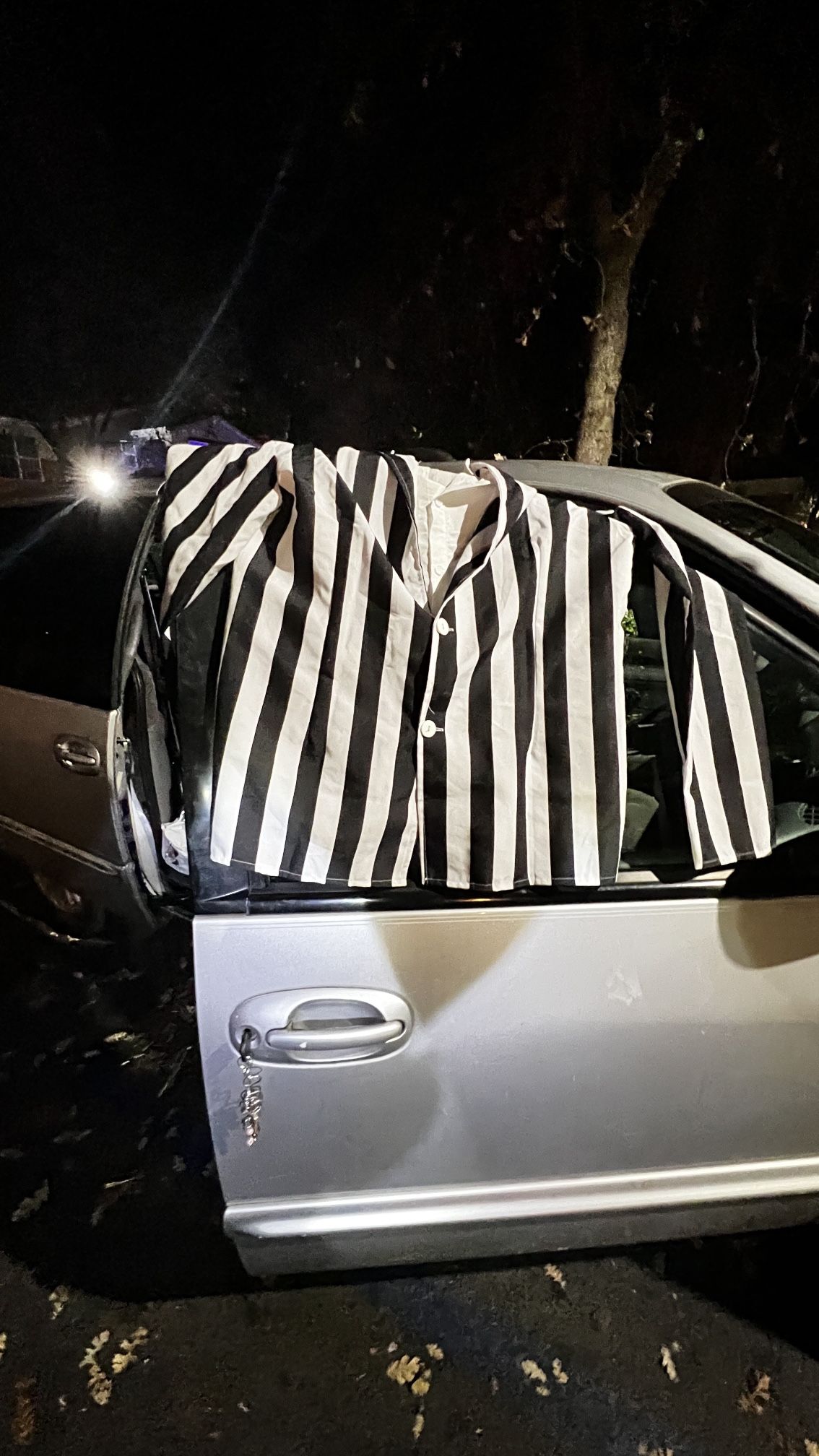 Costume Referee Or Beetle Juice.