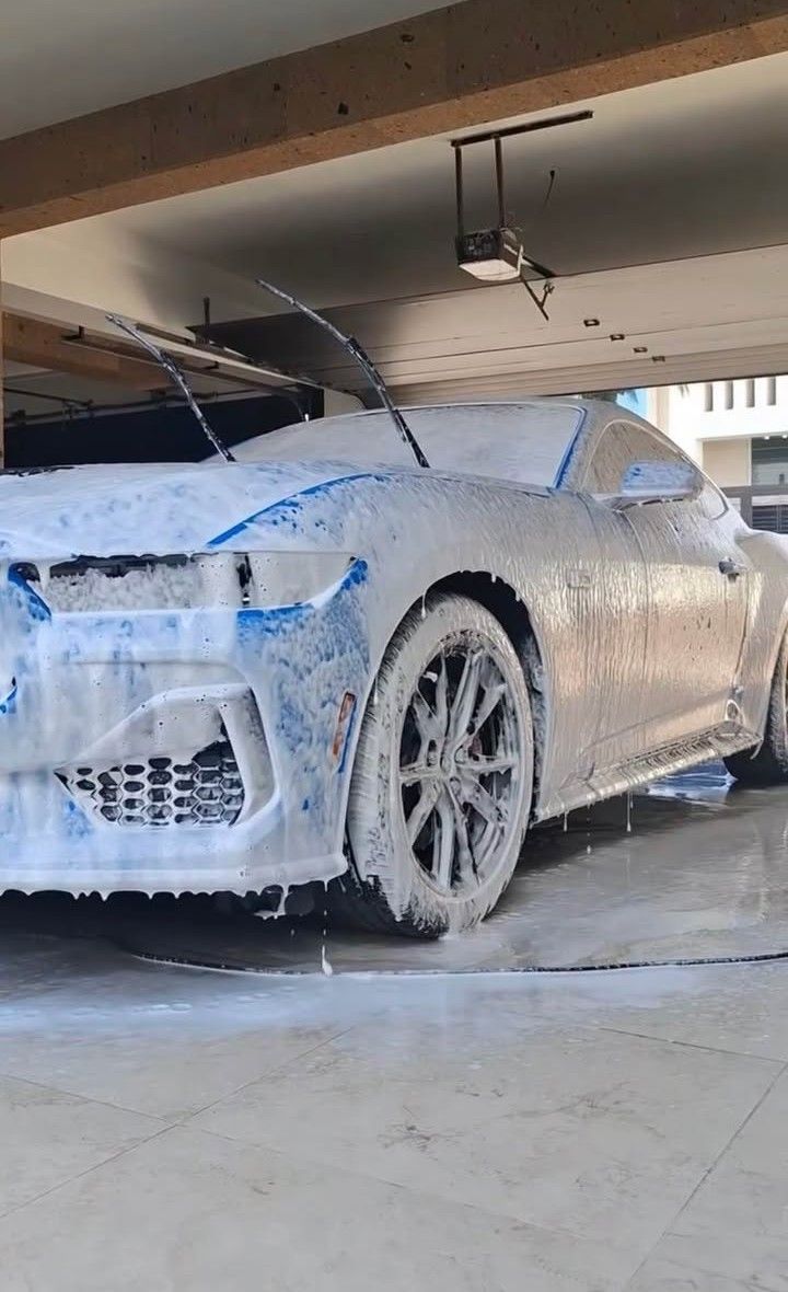 Lavado de motor y detallado profundo