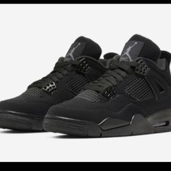 Black Cat 4s 