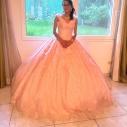 Quinceañera Dress $50