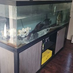 Aquarium Tank