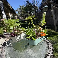 Wagon succulent planters