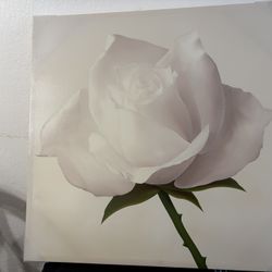 Cuadro De Decoración 