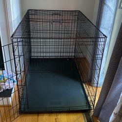 X Large Dog Crate One Door 48 x 30 x 33 inches for Sale in