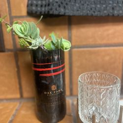 Wine Bottle/succulent Decor 