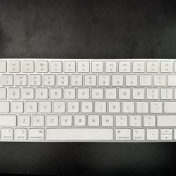 Apple Magic Keyboard, Mouse, & Trackpad