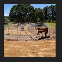 Free Style Horse Exerciser