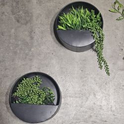 Wall Plant Decoration