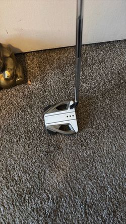 Taylormade spider EX