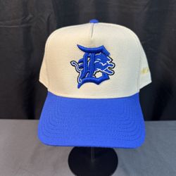 SnapBack:  Detroit Lions