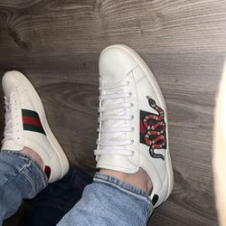 Gucci Sneaker 