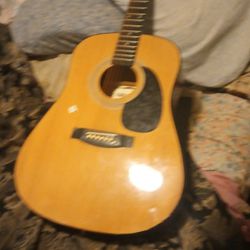Gremlin Acoustic Guitar 