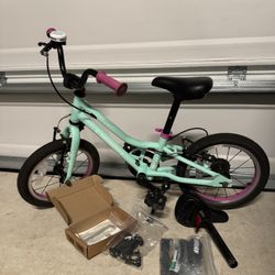 14” Guardian Mint Purple Bike  with Accessories