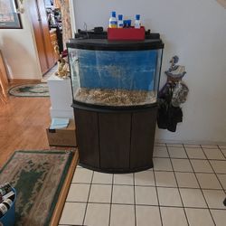 40 Gallon Fish Tank