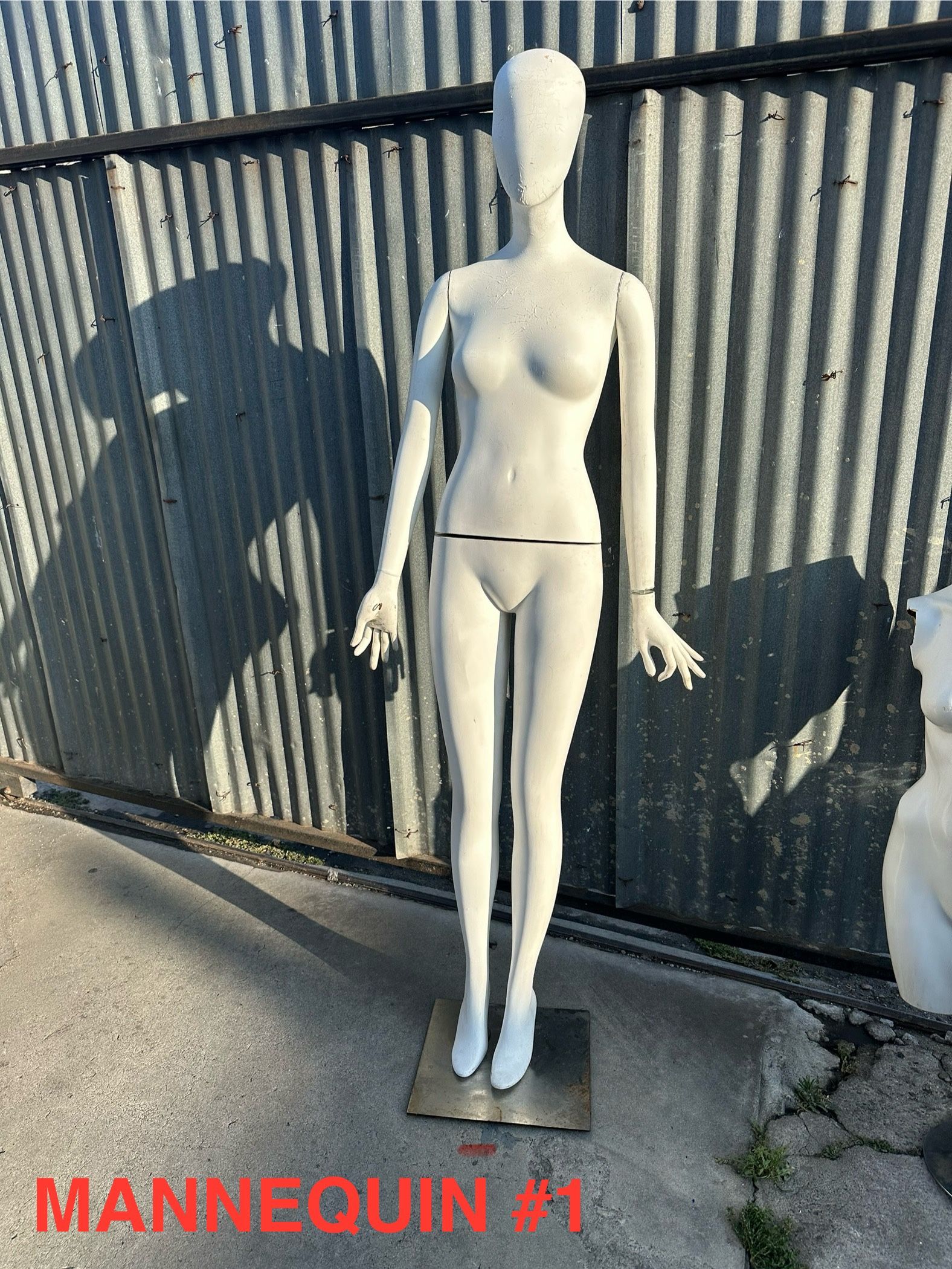 Mannequins - 9 Stand ups - 22 Hang ups