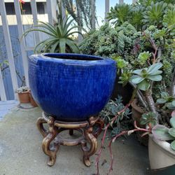 Plant Pot & Stand 