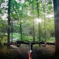 Trek 3700 Mountain Bike