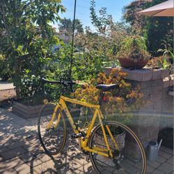 Windsor Wellington 1.0 Road Bike $250