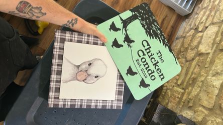 Home Decor Ducks and Chickens