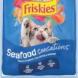 Comida Para Gatos Cerrada 22pounds 