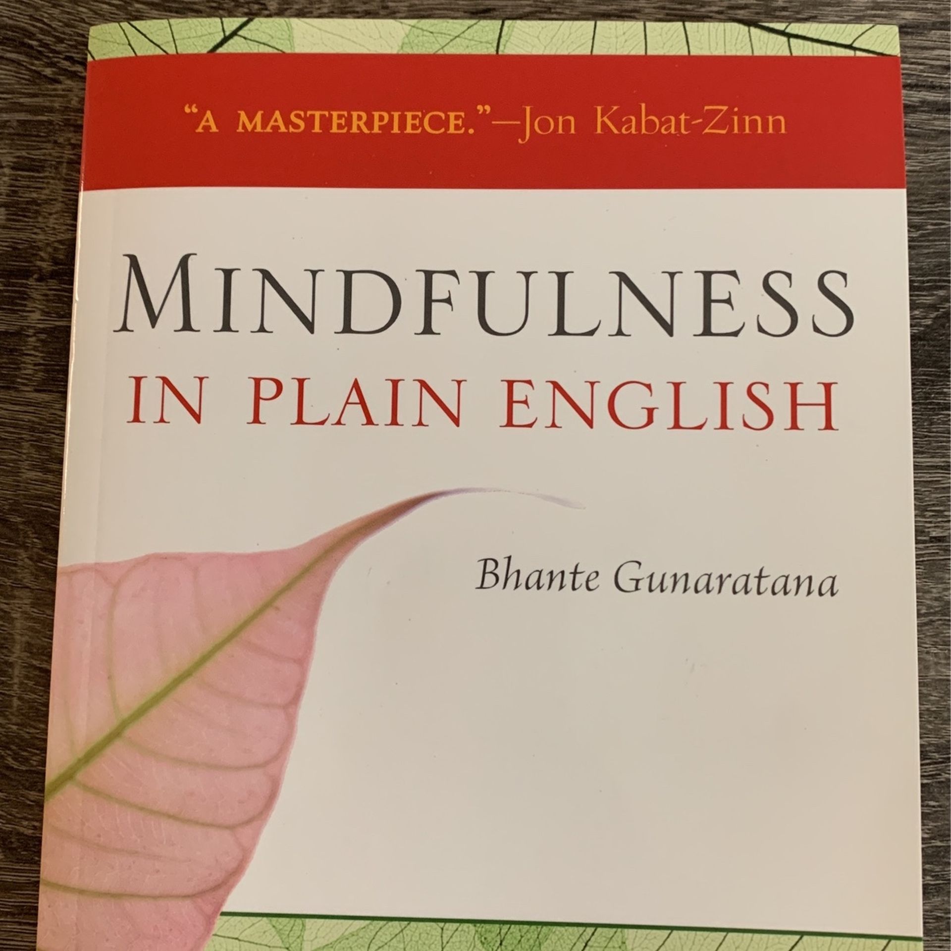Mindfulness In Plain English Book