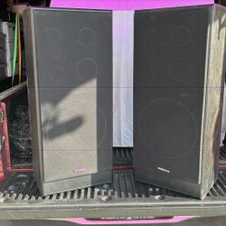 Large Black Speaker ONKYO 12”3 Way Speaker System