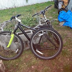 Genesis Mountain Bike And Mongoose Bike