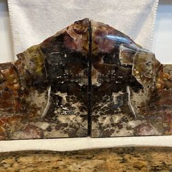 2 Petrified Bookends 