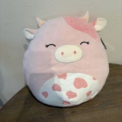 Pink Cow Squishmallow